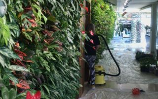 ošetřování rostlin, čistění, odstraňování poškozených listů, mytí