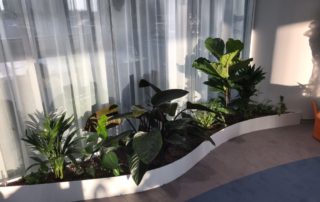 atipické nádoby, Baq Gradient, závěsné květináče, kovové květináče, nástěnný květináč Kikibio, Zamioculcas, Ficus lyrata, Philodendron, terracotta Dracaena surculosa, Rhapis, Amstel King